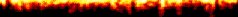 bottom.jpg - 2105 Bytes
