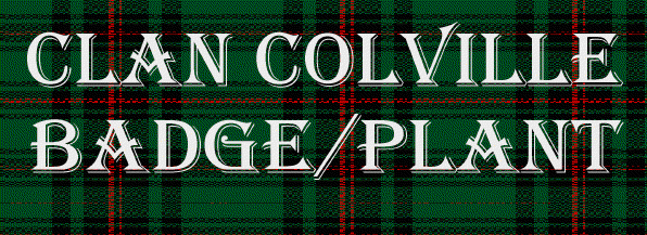 Clan Colville Badge/Plant