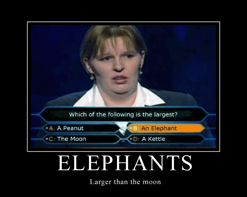 Don't be like her!!