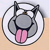 Langue de Chat