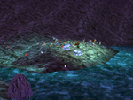 A arge group gathers to catch the ensuing action...