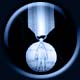 Asiatic Pacific Campaign Medal