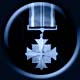 Distinguished Flying Cross