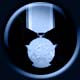 Distinguished Service Medal