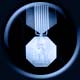 Medal for Humane Action