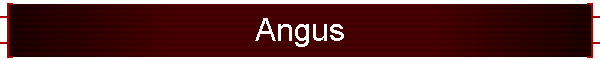 Angus