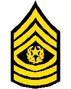 Command Sergeant Major (CSM.)