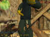 chunky_nut4.jpg (37305 bytes)