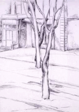 foto_winterhouse.gif (58466 bytes)