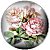 Ruth Hall's website