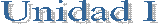 Unidad I