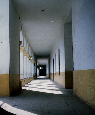 Corredor de Primaria