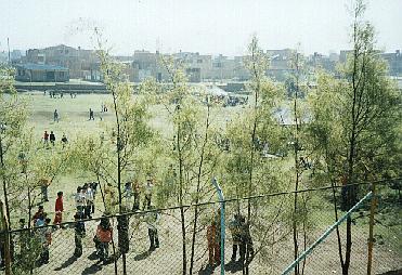 Canchas