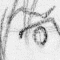 'eheh?'