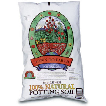 potting soil