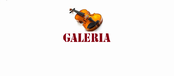 boton de galeria
