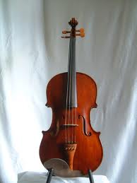 viola