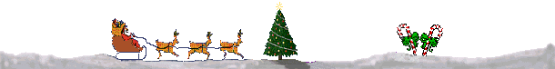 Santa and his sleigh on the new-fallen snow