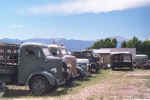 38 Ford COE Lineup.jpg (87937 bytes)