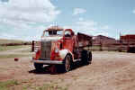 Chev COE Dog.jpg (71161 bytes)