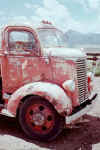 Red COE.jpg (127345 bytes)