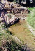 The Sacred Spring