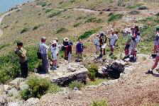 Tomb C