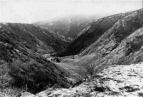 The ravine at the notorious Babi Yar, scene of mass executions in 1941. Ensatzgrubben killed 33,000 citizens of Kiev by gunning them down on the edge of the ravine.