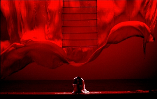 Diego's production of Madama Butterfly
