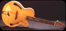 parker acuostic