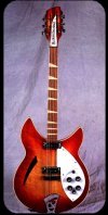 12 string