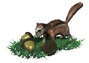 Pic of Chipmunk pushing nuts