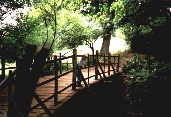 Pic of the real 'Pooh-Sticks Bridge' near Hartfield