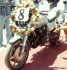 bike_8_80_lt.jpg (39976 bytes)