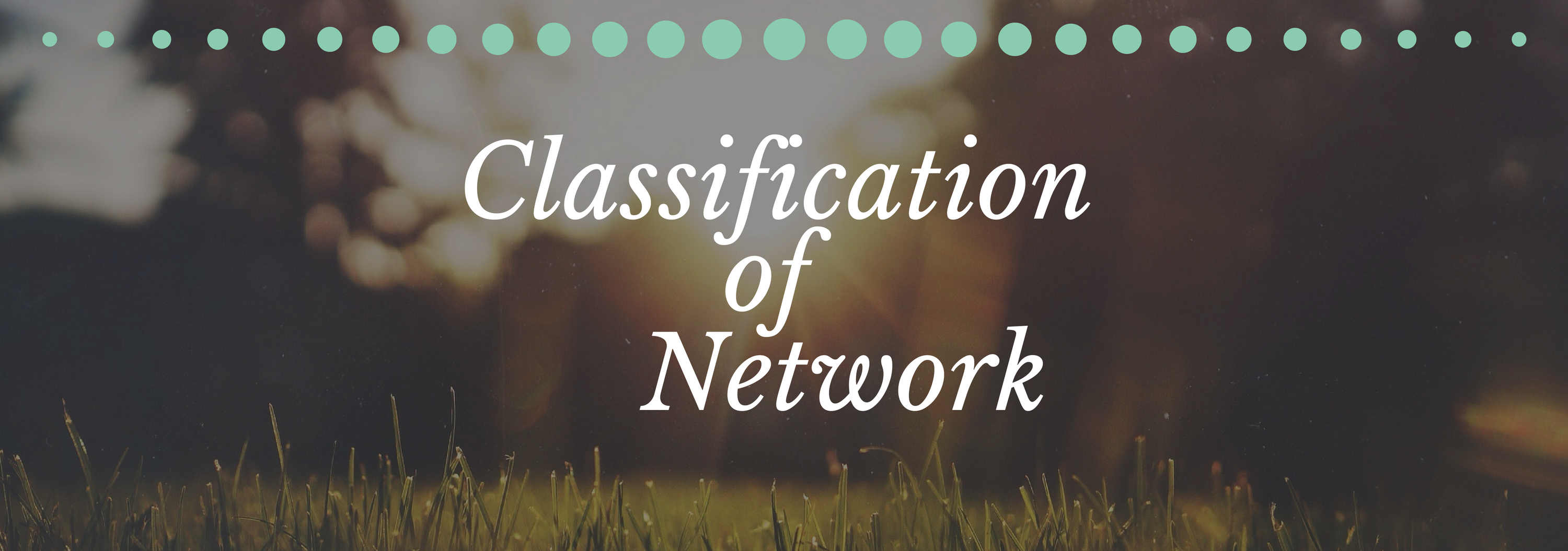 Classification of Network