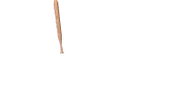 bat