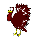 turkey