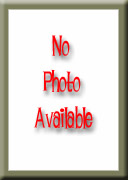 nopicture.jpg (8k)