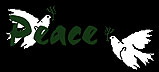 peace.JPG (4671bytes)