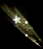 mc_button_L.GIF (3837bytes)