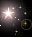 stcr_Y.GIF (5k)