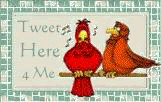 Bird btn
