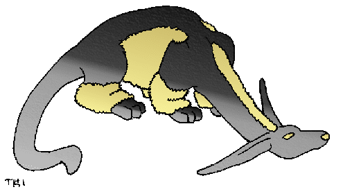 Casei