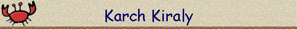 Karch Kiraly
