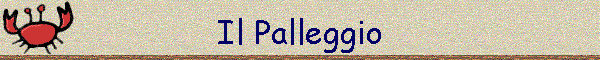 Il Palleggio