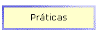 Pr�ticas
