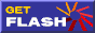 Download Macromedia Flash Player FREE!!!