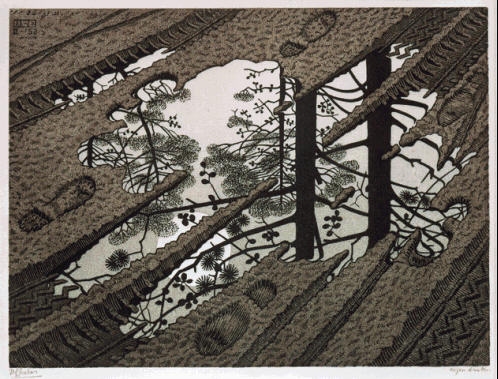 M.C. Escher: Puddle 1952.