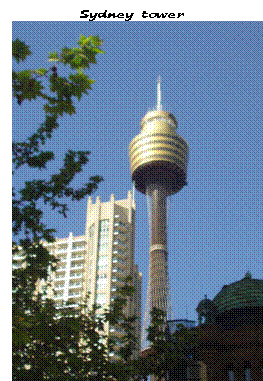 Text Box: Sydney tower
 
Sydney tower
