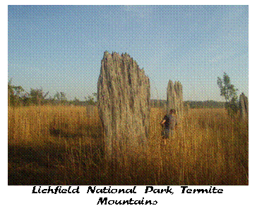 Text Box:  
Lichfield National Park, Termite
Mountains
